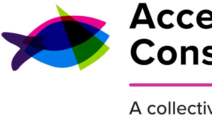 Accessibility Consulting ca